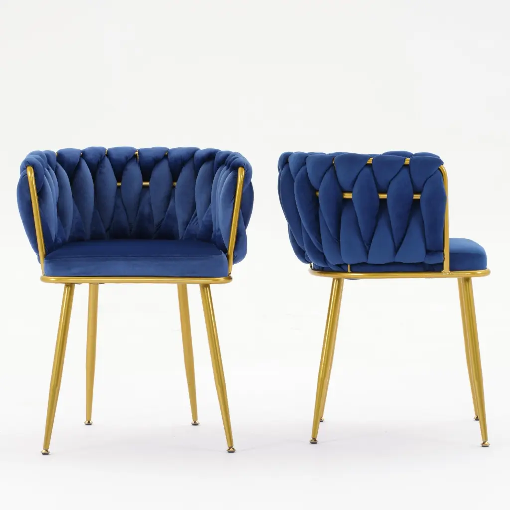 Living Room Chairs Velvet Makeup Vanity Chair Back Arm Modern Bedroom Seating rnb