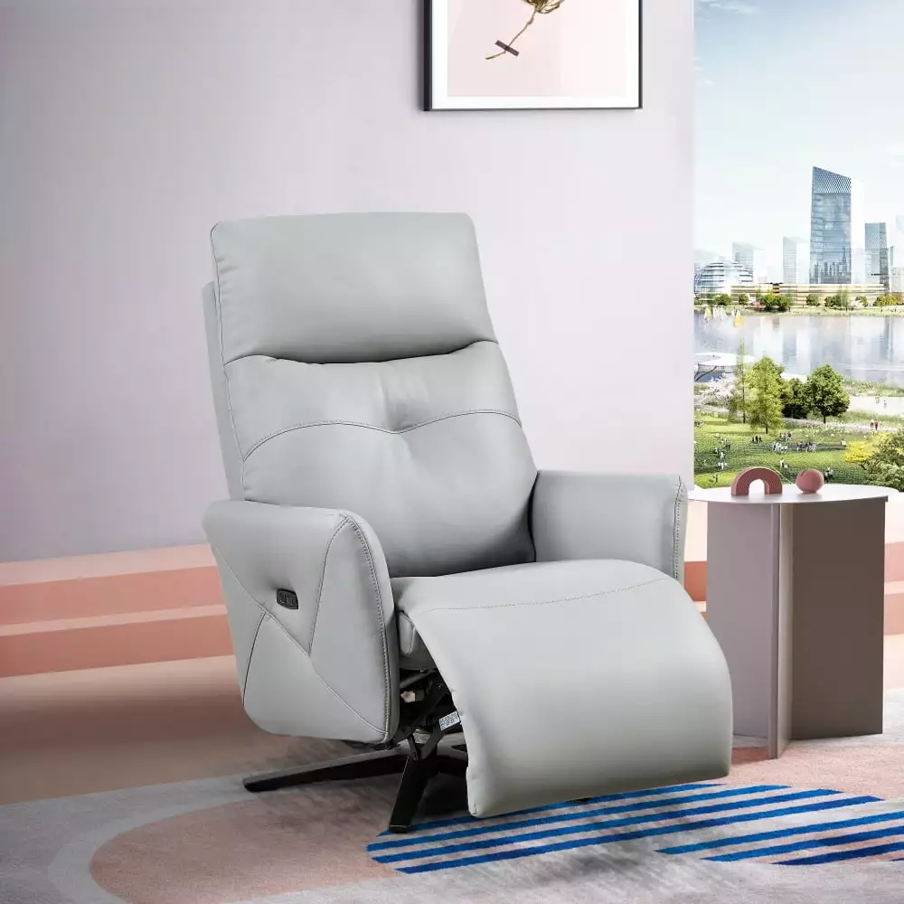 DeeHome Dual Motor Recliner Chair Adjustable Headrest and 360 Swivel USB Charge Port