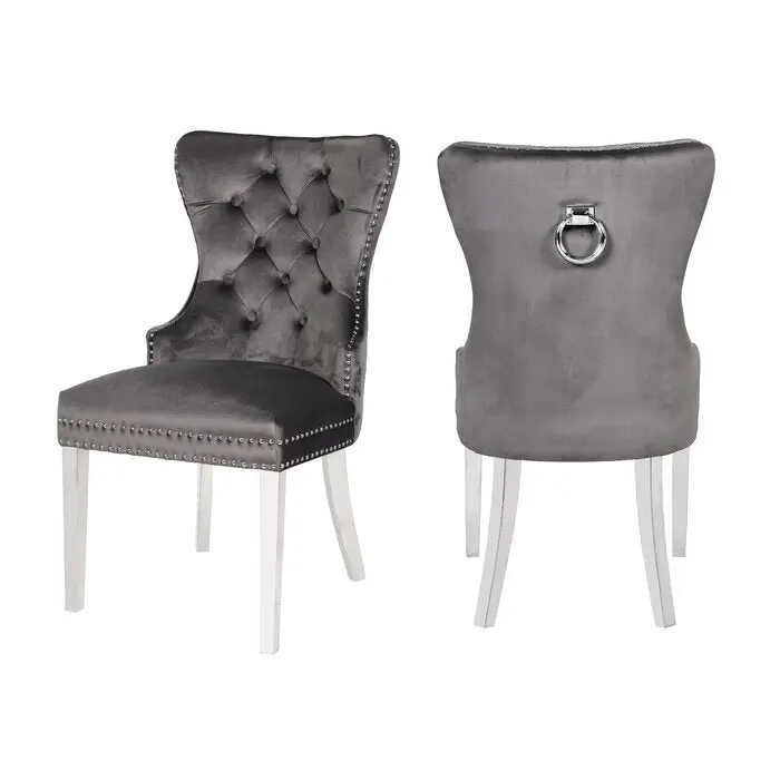 Erica 2 Piece Stainless Steel Legs Chair Velvet Fabric - Modern Dining Chairs galaxy home furnishings