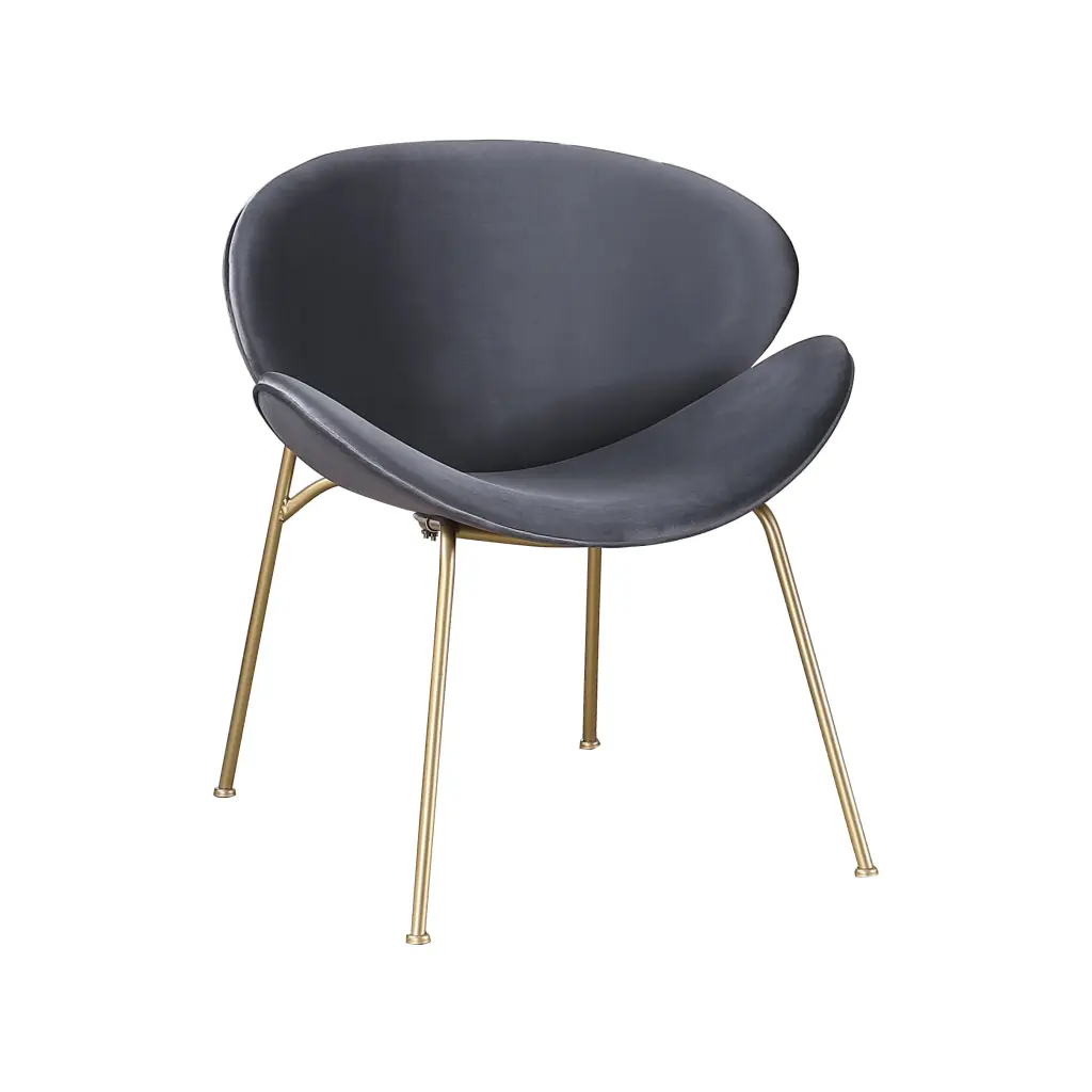 2 Chair 1 Carton Velvet Dining Chairs Upholstered Living Room Chairs w1241 artisan furniture