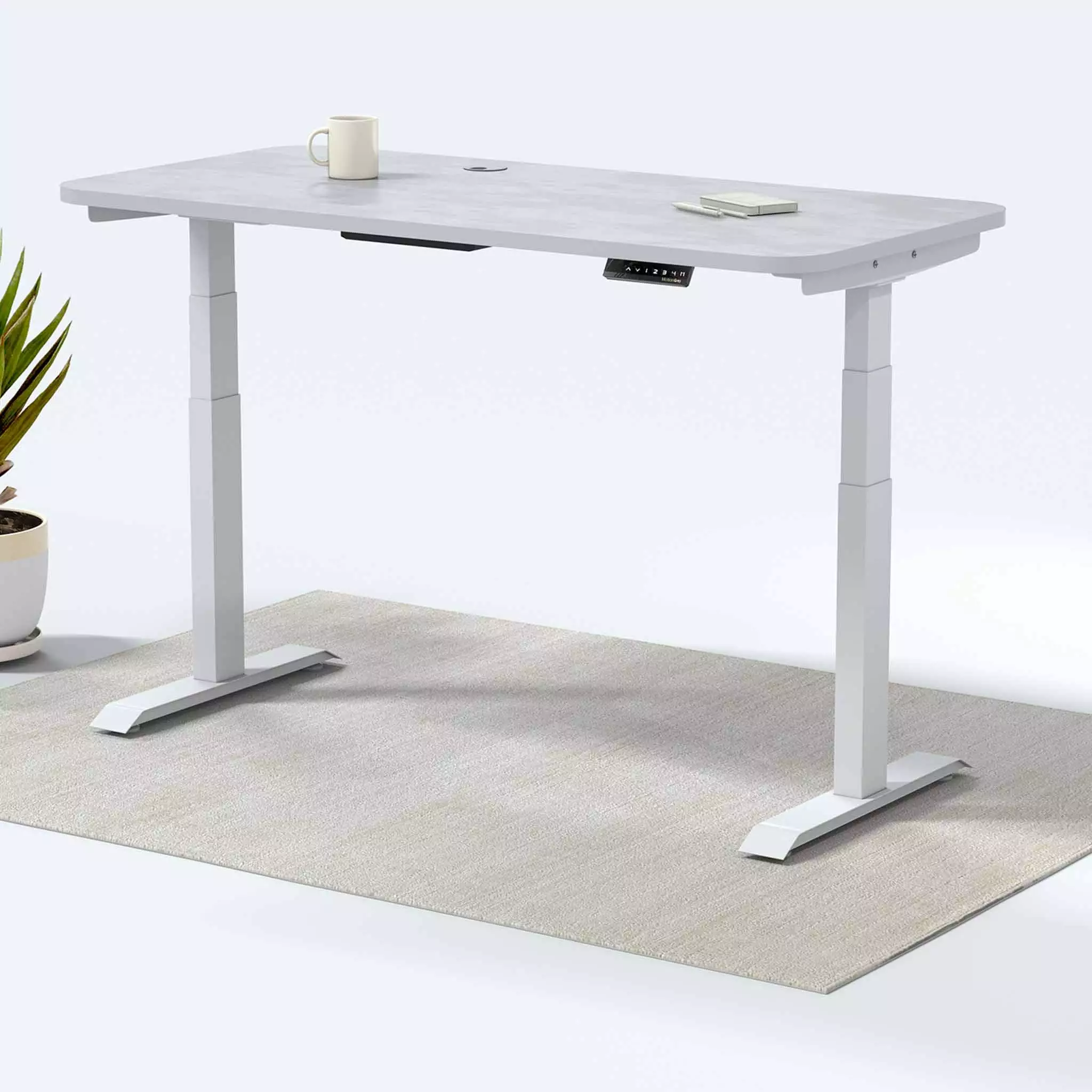 MotionGrey Height Adjustable German Electric Dual Motors Sit Stand Desk - White Frame White Top 165x60cm