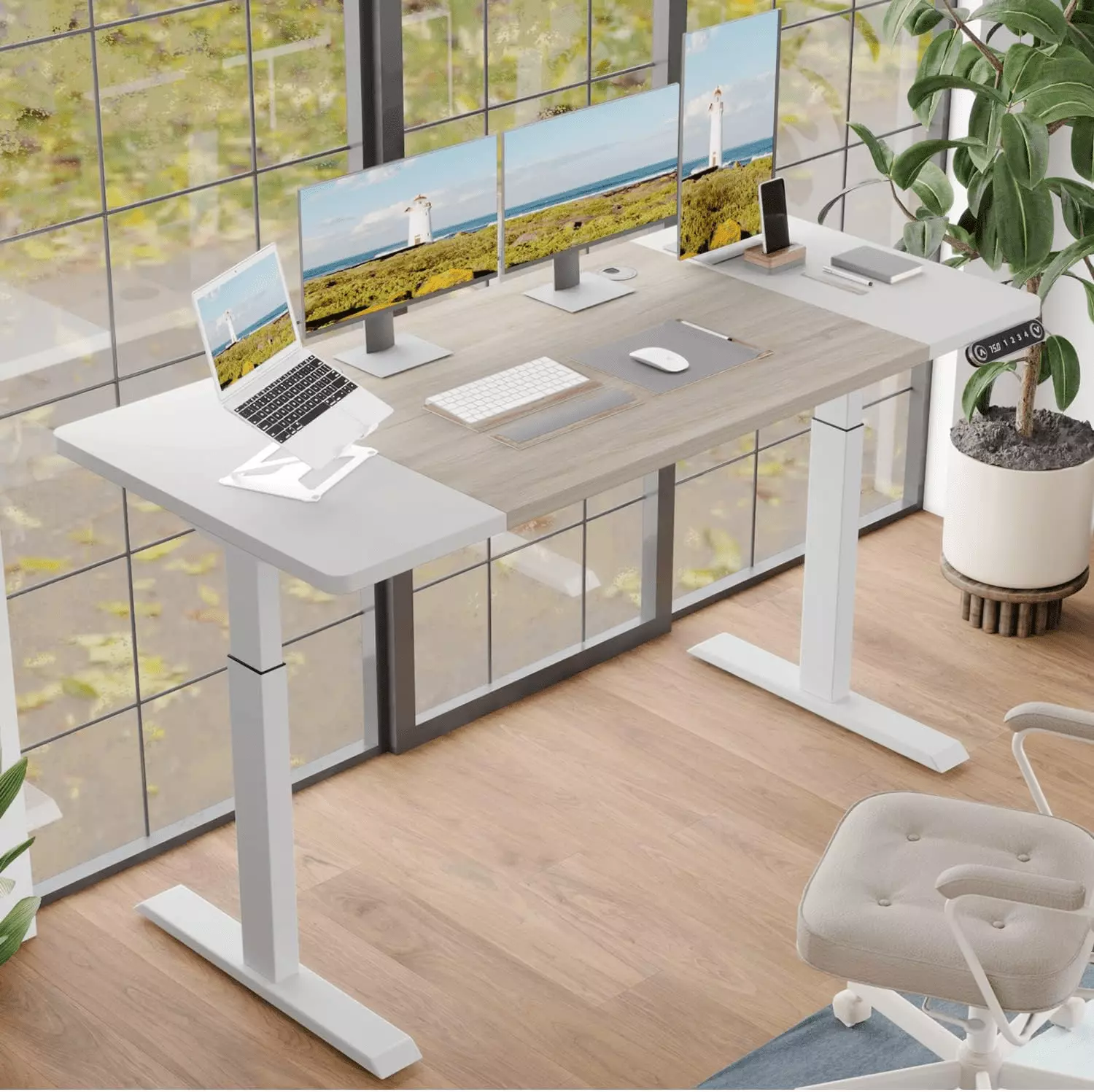 Electric Height Adjustable Standing Desk 55 x 24 Inches Stand Up Desk Workstation White and Maple Mxtark