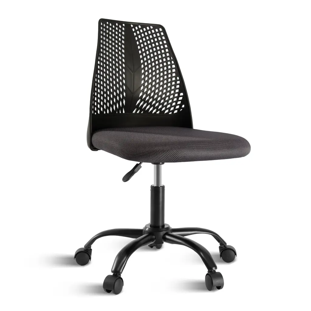 Ergonomic Office and Home Chair Substantial Cushioning Black & Grey w1134dhs