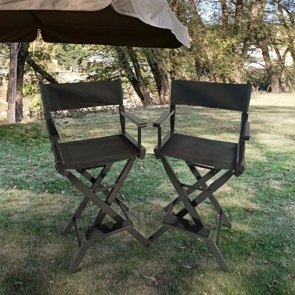 Casual Home Director's Chair - Black Frame Canvas Seat Adults leisure home -jy