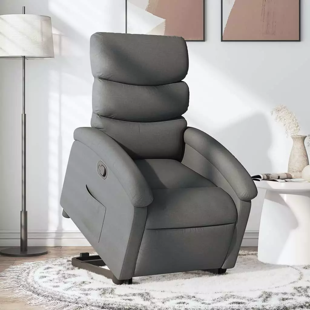 vidaXL Stand Up Recliner Chair Dark Gray Fabric Living Room