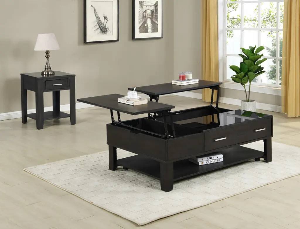 Bruno 2 Piece Ash Gray Wooden 48 Inch Lift Top Coffee And End Table Set lilola home