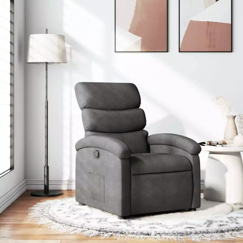 vidaXL Recliner Chair Dark Gray Fabric Adjustable Backrest