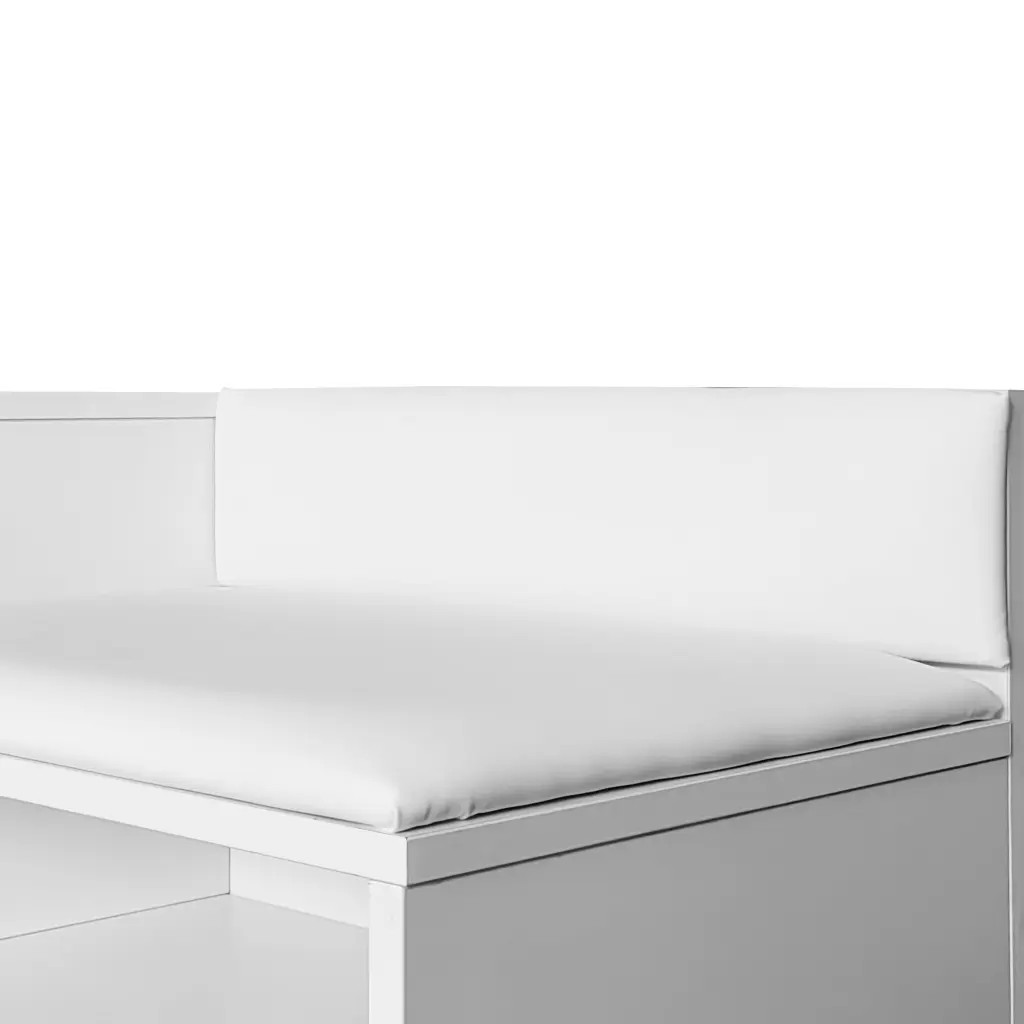 Modern Shoe Storage Bench Hidden Storage and Upholstered Cushions rnb
