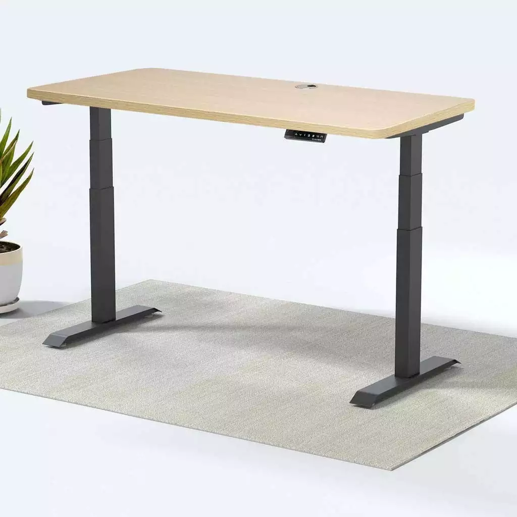 MotionGrey Height Adjustable German Electric Dual Motors Sit to Stand Desk Black Frame Brown Tabletop 140x71cm