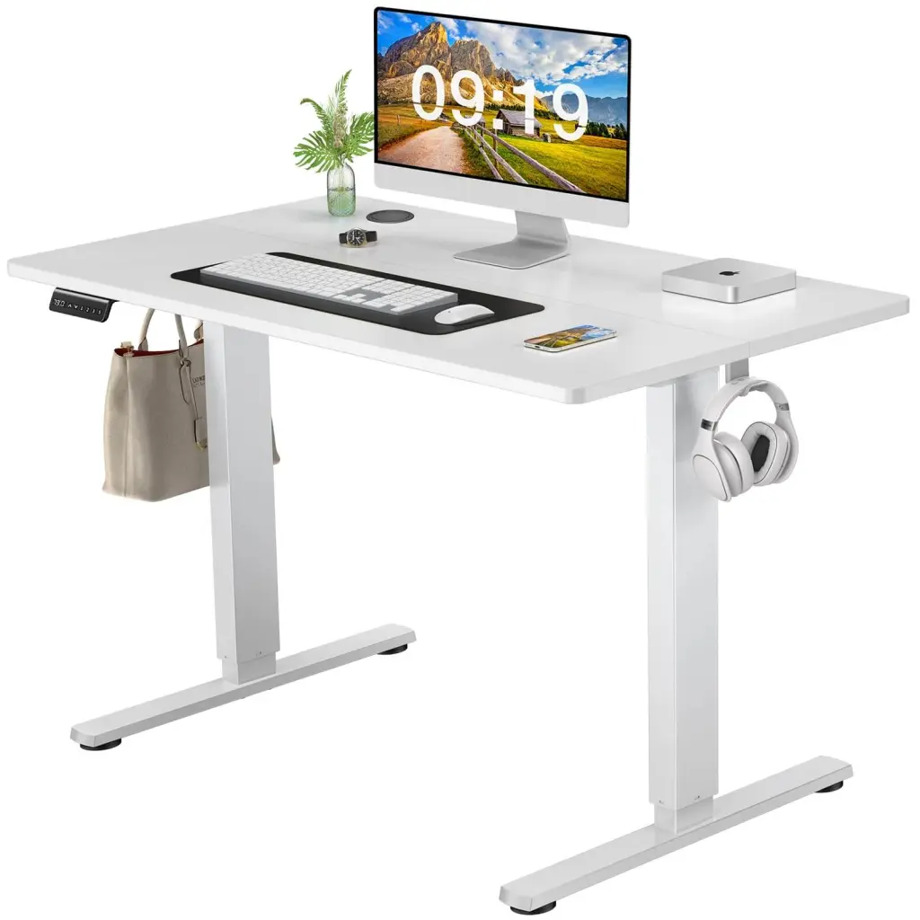 Electric Height Adjustable Standing Desk Sit to Stand Ergonomic Computer Desk w2201